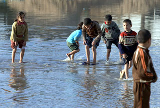 Flood 2