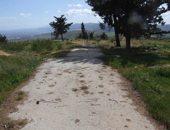 UNIFIL Ignores the Killer, Goes After a Vandal