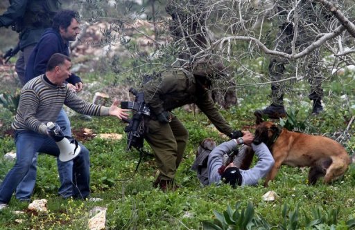 Palestinian Attacked by ’’Israeli’’ Army Dog

