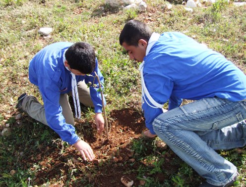 Photo Report: National Day against Cluster Bombs, A Tree for Every Bomb 