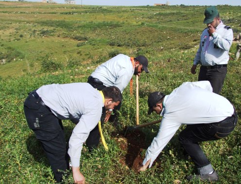 Photo Report: National Day against Cluster Bombs, A Tree for Every Bomb 