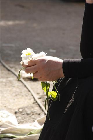 Farewell The Compassionate Father, Wise Guide