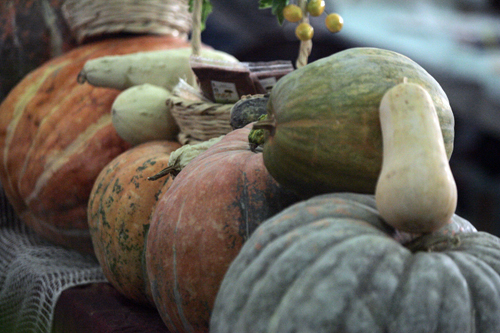 ARDI (My Land) 5, Where Riches of the Land Meet Your Health