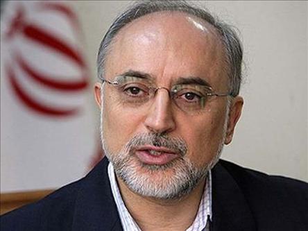 Salehi: “Israel” Extension of US in ME, Won’t Last Week of Real War
