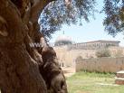 Former general: “Israel” testing its limits with delay-tactics on Ghajar