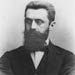 Herzl is Turning in his Grave