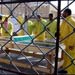Five hundreds minors in US detention in Iraq