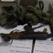 Hariri denies having militia ~ Facts prove opposite 
