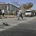 One settler killed, 4 hurt in Negev Qassam strike 