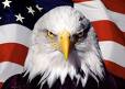 America is the rogue nation