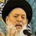 Sayyed Fadlallah: The Resistance must be seen as Lebanons protector