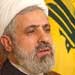 Sheikh Qassem: Defense strategy should define the responsibilities of various Lebanese forces in confronting 