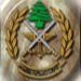 Army Command says it was informed of Syrian decision to deploy troops along border