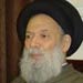Fadlallah: It is important to calm the political discourse