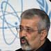 Interview with Sultanieh: ElBaradei should not blame Iran for nuclear impasse