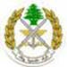 Lebanese army issues Independence Day statement 