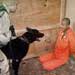 Aswad΄s Story: Illegal Detention and the Declaration of Human Rights