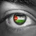 Tractatus Logico Palestinicus