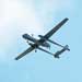 Hamas shows video of shot down drone