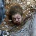 UN: Gaza school attack only hit civilians 