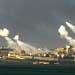 UN Official Likens War on Gaza to Warsaw Ghetto 