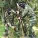 If Hamas rockets are so lethal, why doesn’t 