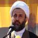 Sheikh Qaouk deems veto power necessary, accuses majority of obstructing compensation flow