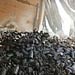 Gaza Reemerging From the Ashes