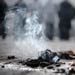 Murderous pet a problem for UN system 