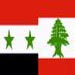 Syrian Ambassador to Lebanon hopes bilateral relations will be at level of ambitions