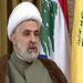 Sheikh Qassem: Communication is on with PSP, Berri our candidate for House Speaker