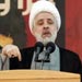 Sheikh Qassem: We have to learn from previous experiences in the formation of the cabinet
