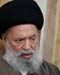 Sayyed Fadlallah: US Doves Have Turned into Vultures Overnight 
