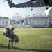 South American Leaders Condemn US Role in Haiti