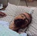 Prisoners society: “Israel” medically neglects prisoners