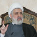 Sheikh Qassem: March 14 Christians are Isolating Themselves on Their Own