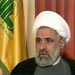Sheikh Qassem: Dialogue Talks to Discuss Defense Strategy, Not “Weapons” 