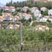 Enemy Spies Falling in the Grasp of Lebanese Army Intelligence