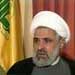 Sheikh Qassem Discusses Lebanese Expatriation with SSNP