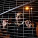 Palestinian Man Deported To Gaza