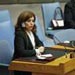 Lebanese Charge D’affaires at UNSC Defends Right of Resistance
