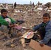 NGOs: “Israel” is Destroying Gaza Agriculture