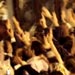 Turkey Receives Flotilla Activists with a Hero’s Welcome