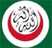 OIC: Death of Sayyed Fadlallah, Great Loss for the Islamic Nation