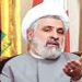 Sheikh Qassem: We Will Prevent any Attempts to Riffle Lebanon’s Resources