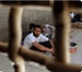 Palestinian Detainees to Go On Hunger Strike