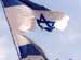 Enemy Intelligence Ready for Ahmadinejad’s Visit to Lebanon