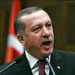 Berri Receives Erdogan, Discusses Bilateral Relations