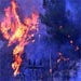 Zionist Officer: Carmel Fires Prove “Israel” Learned Nothing from Lebanon July 2006 War 