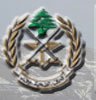 Army Dismantles “Israeli” Spy Devices in Sannine and Barouk 